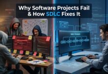 software development life cycle