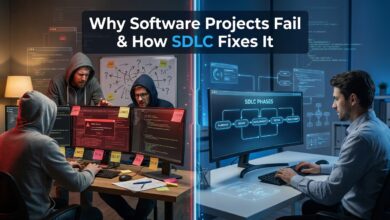 software development life cycle