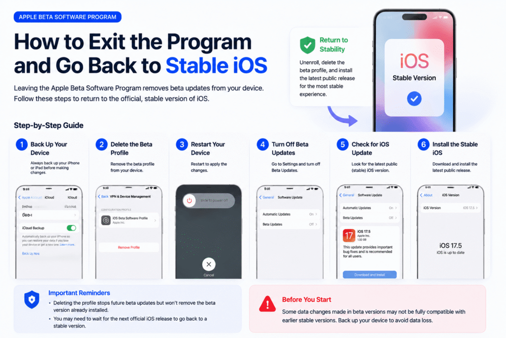 How to Exit the Program and Go Back to Stable iOS