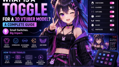what is a toggle for a 3d vtuber model